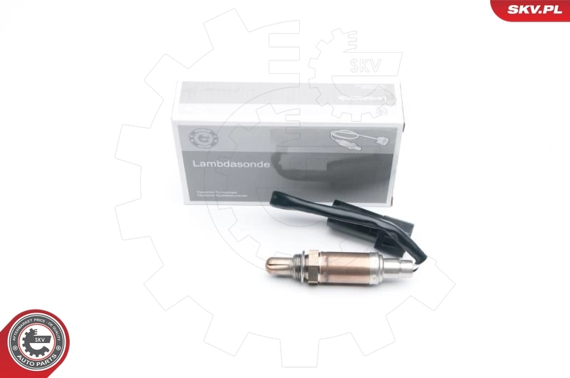 Oxygen Sensor